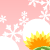福寿草と雪